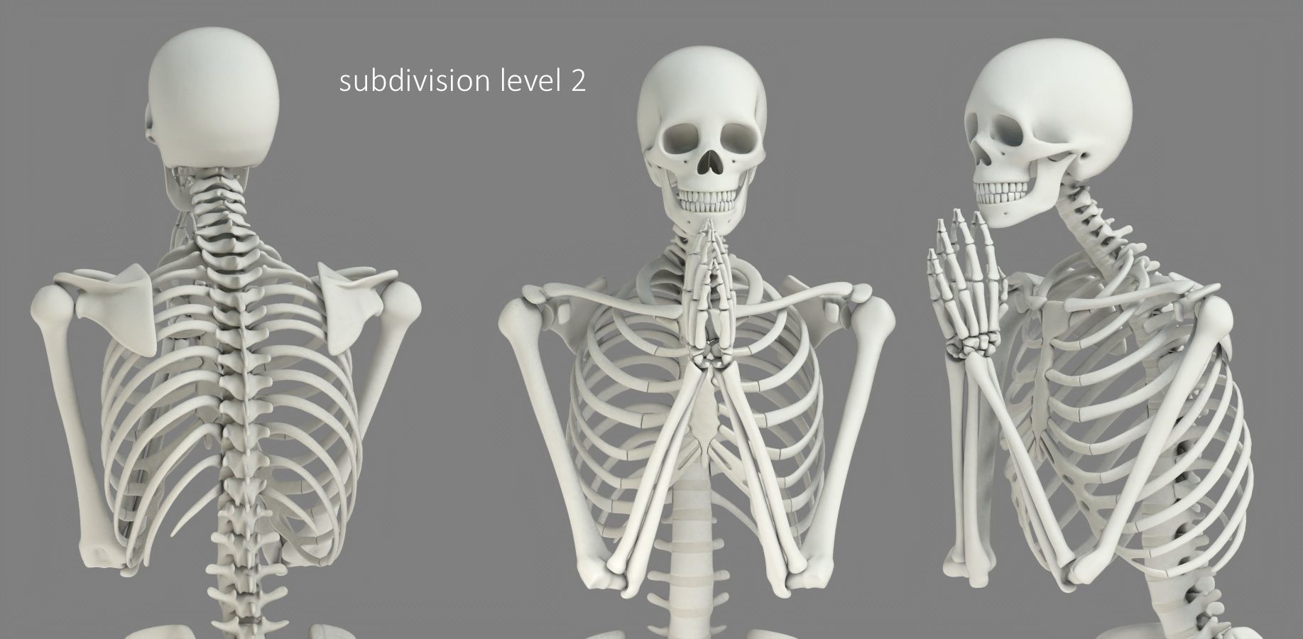 Human skeleton Low-poly 3D model_25