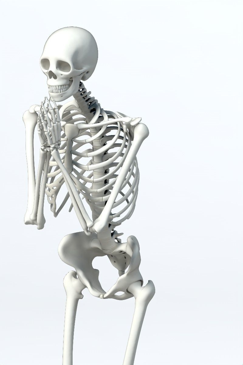 Human skeleton Low-poly 3D model_6