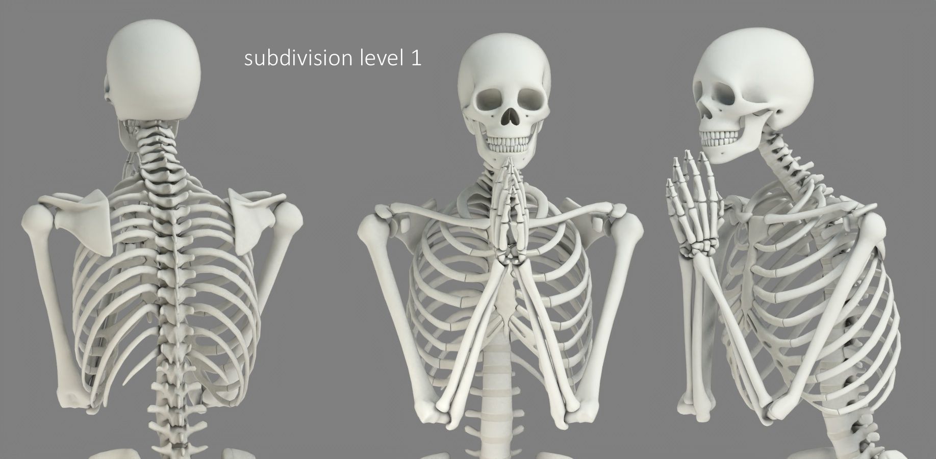 Human skeleton Low-poly 3D model_23