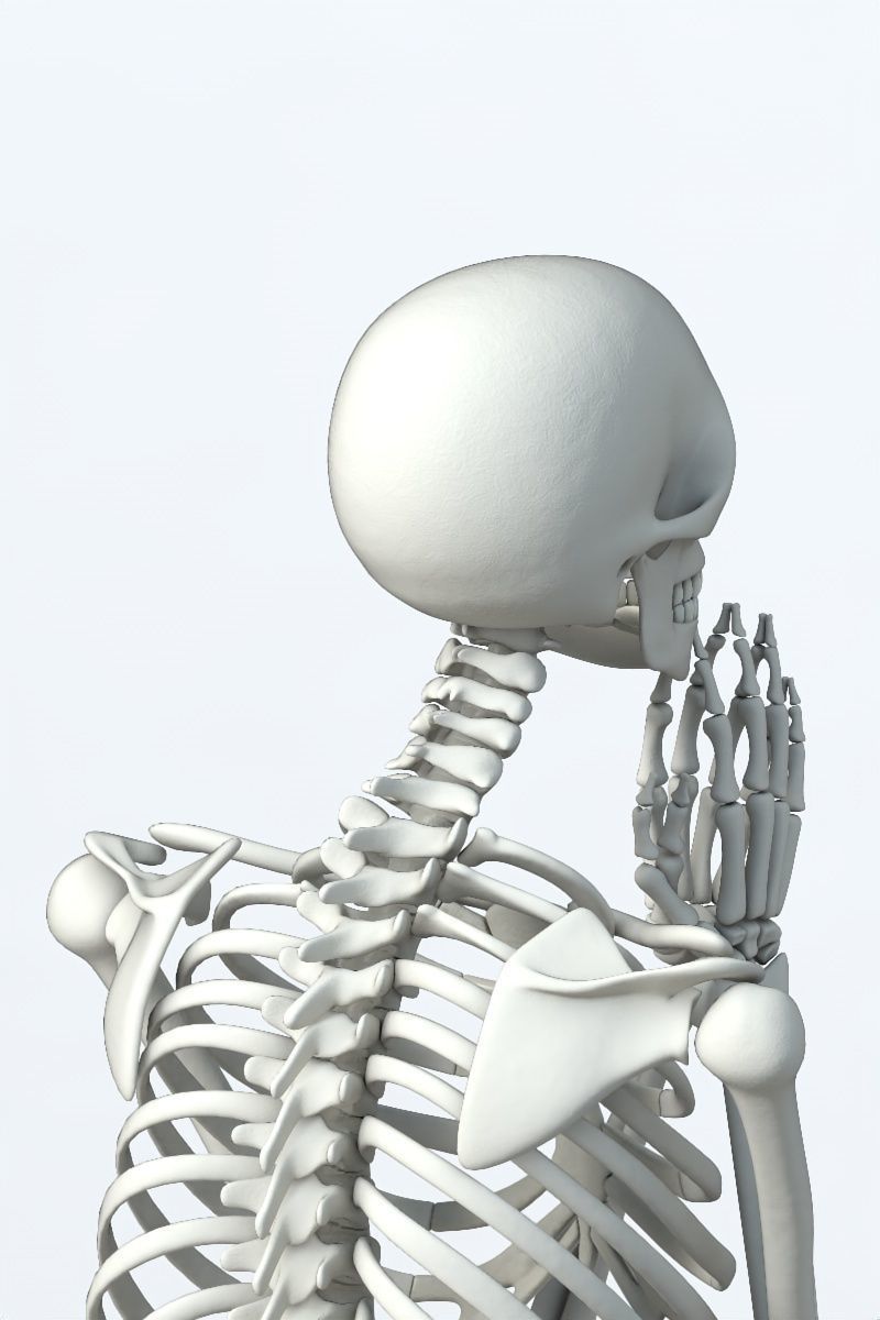Human skeleton Low-poly 3D model_10