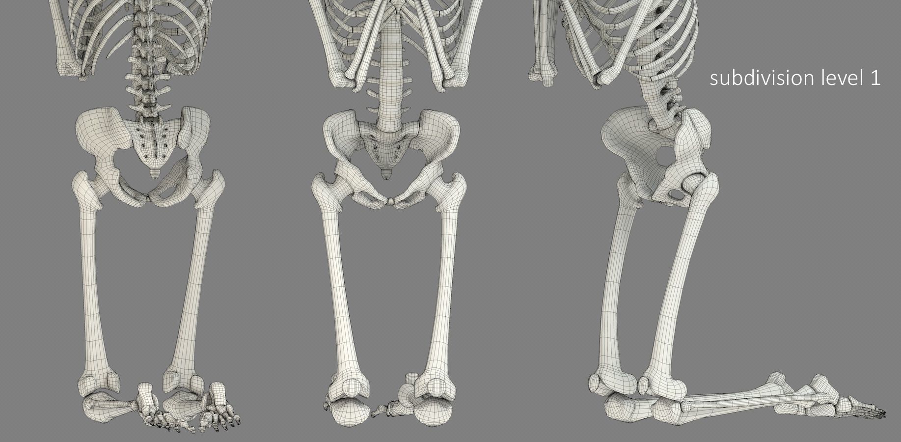 Human skeleton Low-poly 3D model_28