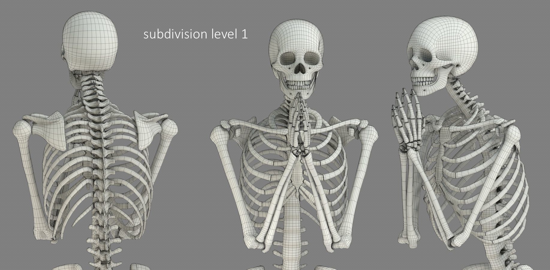 Human skeleton Low-poly 3D model_22