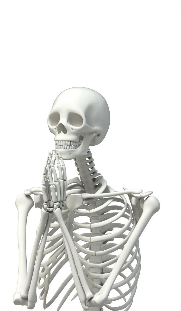 Human skeleton Low-poly 3D model_40
