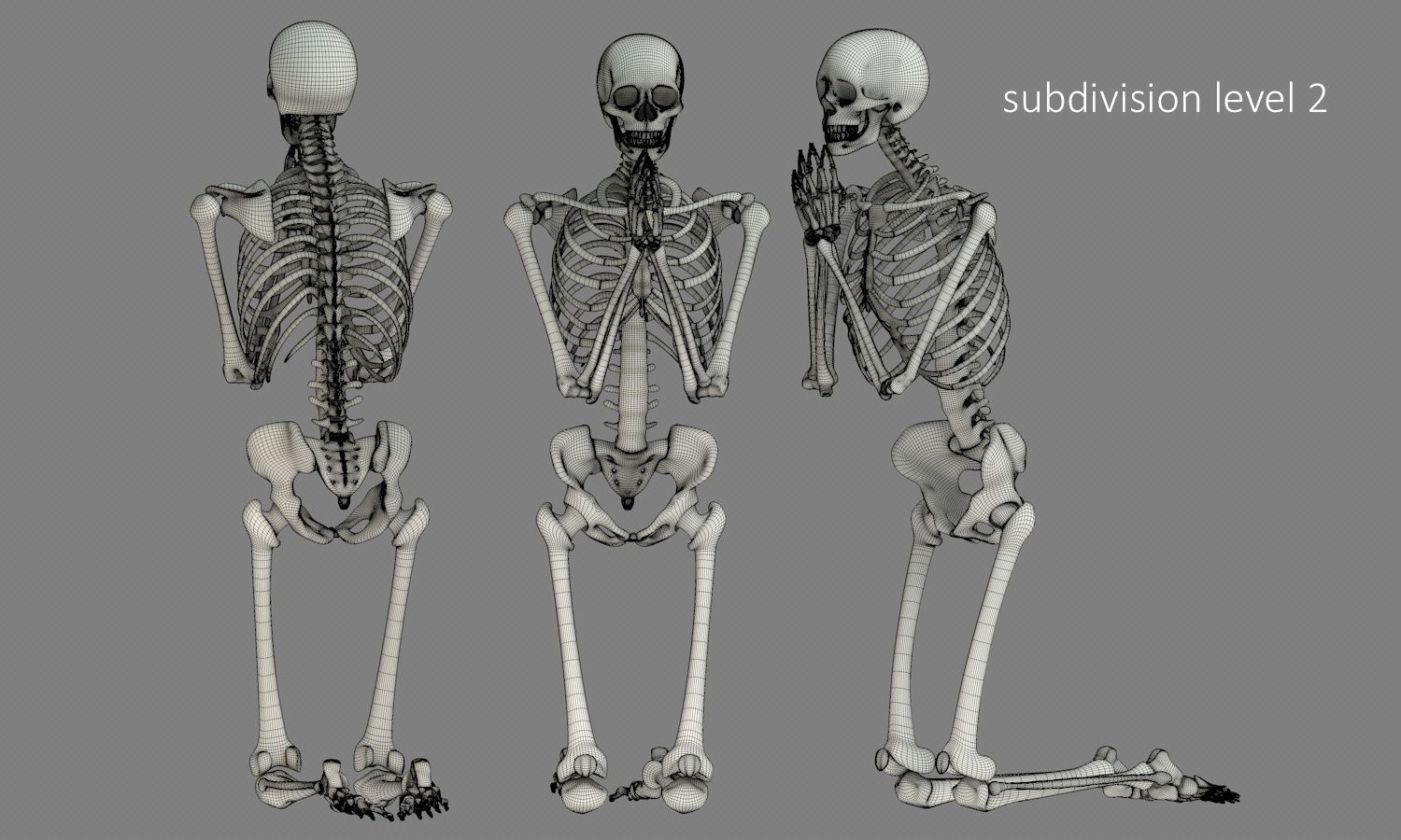 Human skeleton Low-poly 3D model_18