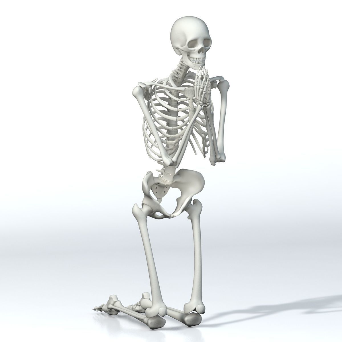 Human skeleton Low-poly 3D model_1