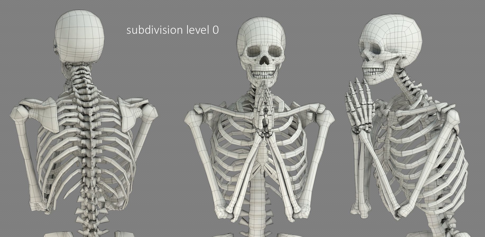 Human skeleton Low-poly 3D model_20
