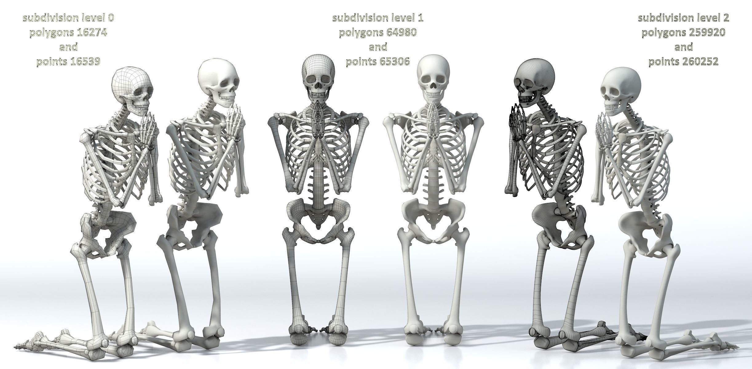 Human skeleton Low-poly 3D model_32