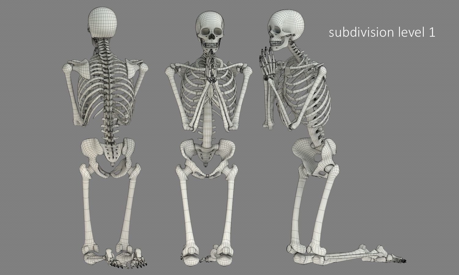 Human skeleton Low-poly 3D model_16