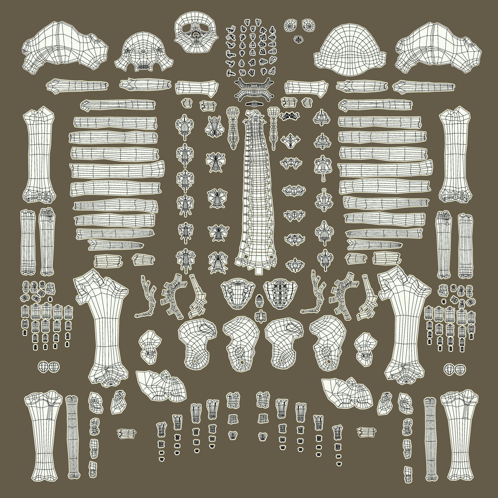 Human skeleton Low-poly 3D model_36