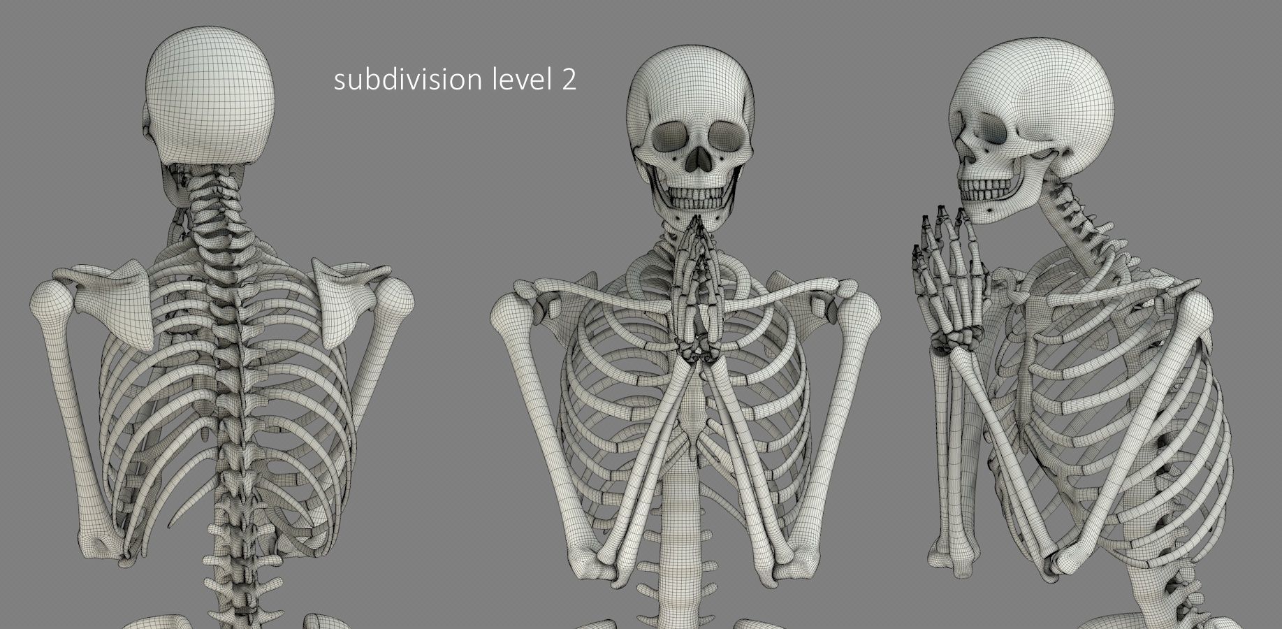 Human skeleton Low-poly 3D model_24
