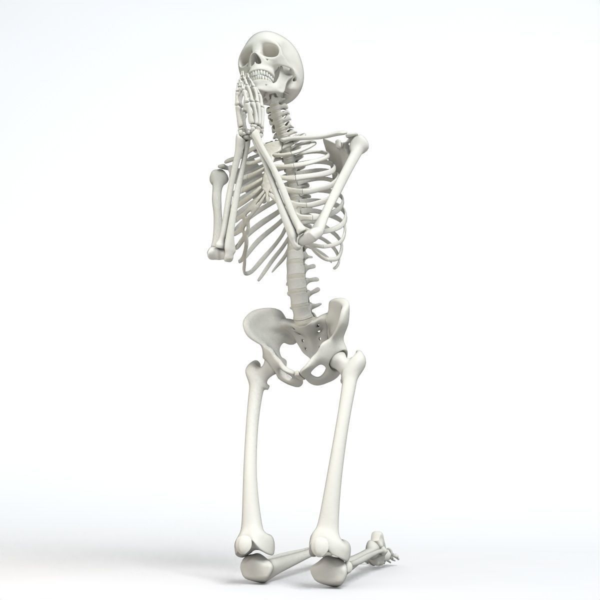 Human skeleton Low-poly 3D model_2