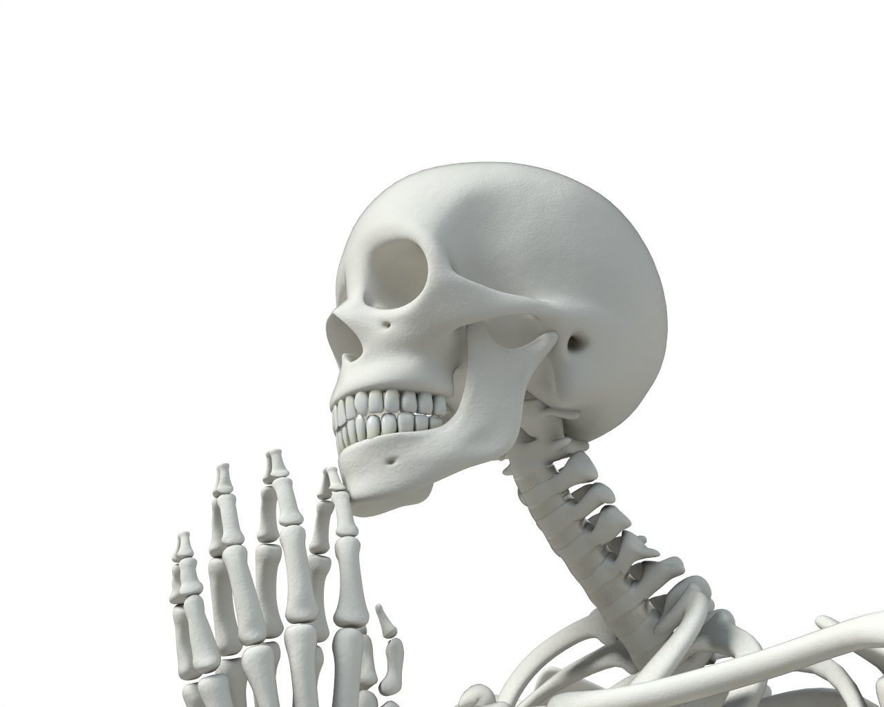 Human skeleton Low-poly 3D model_42
