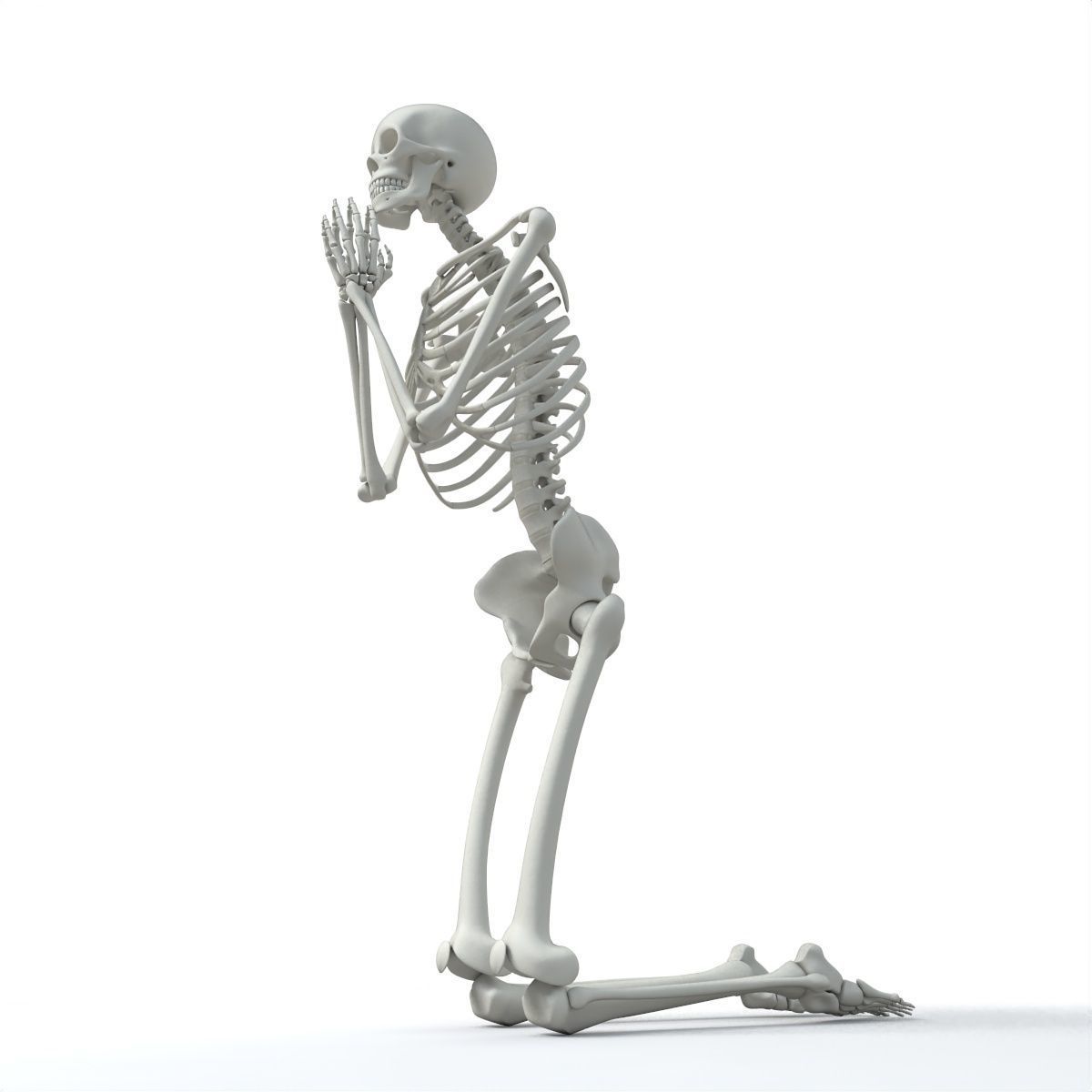 Human skeleton Low-poly 3D model_37