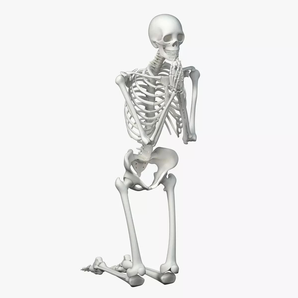 Human skeleton Low-poly 3D model_0
