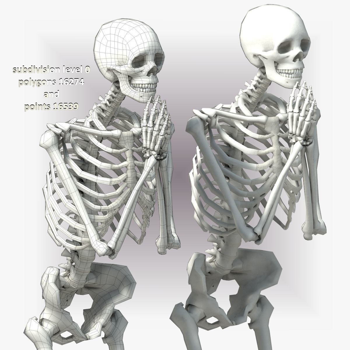 Human skeleton Low-poly 3D model_33