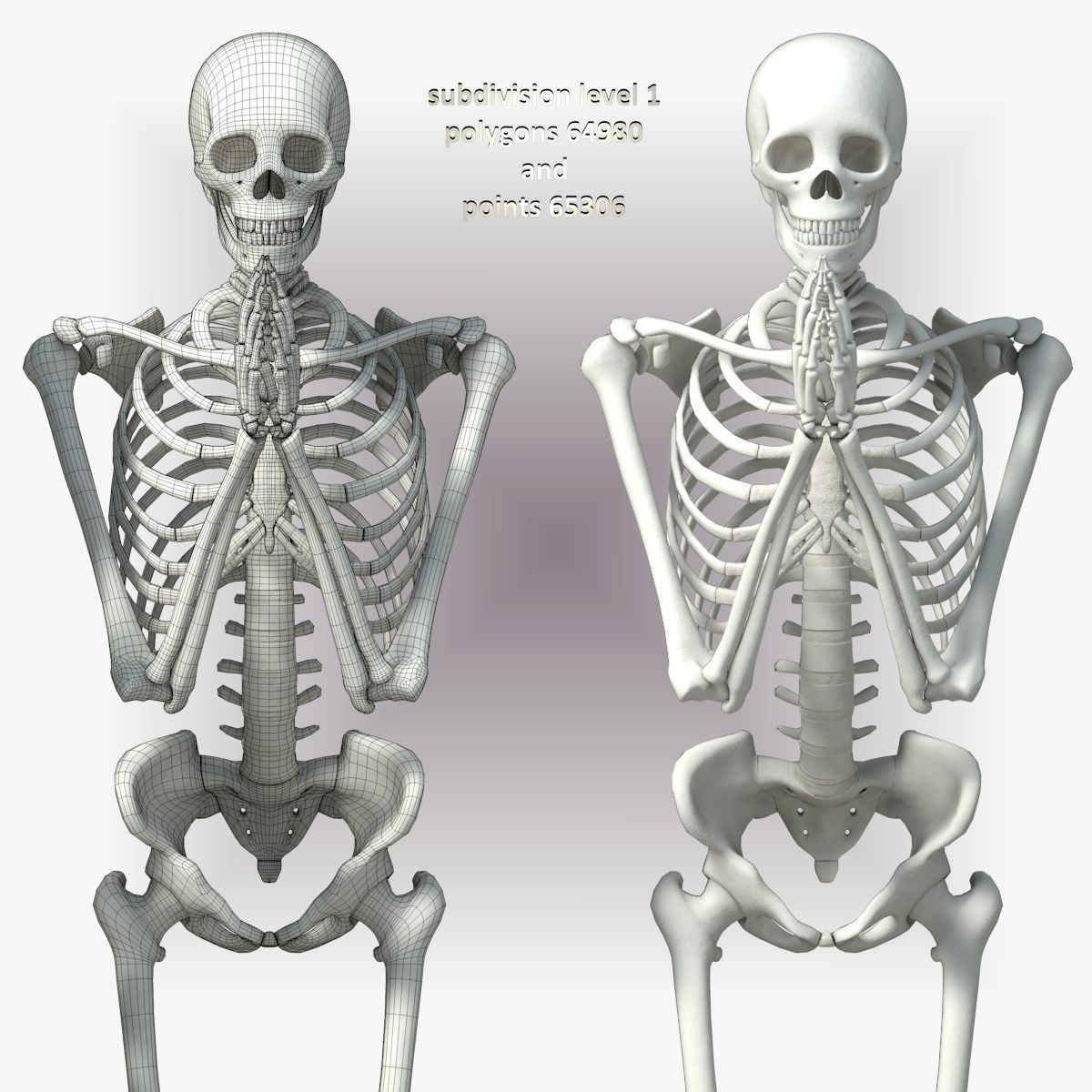 Human skeleton Low-poly 3D model_34