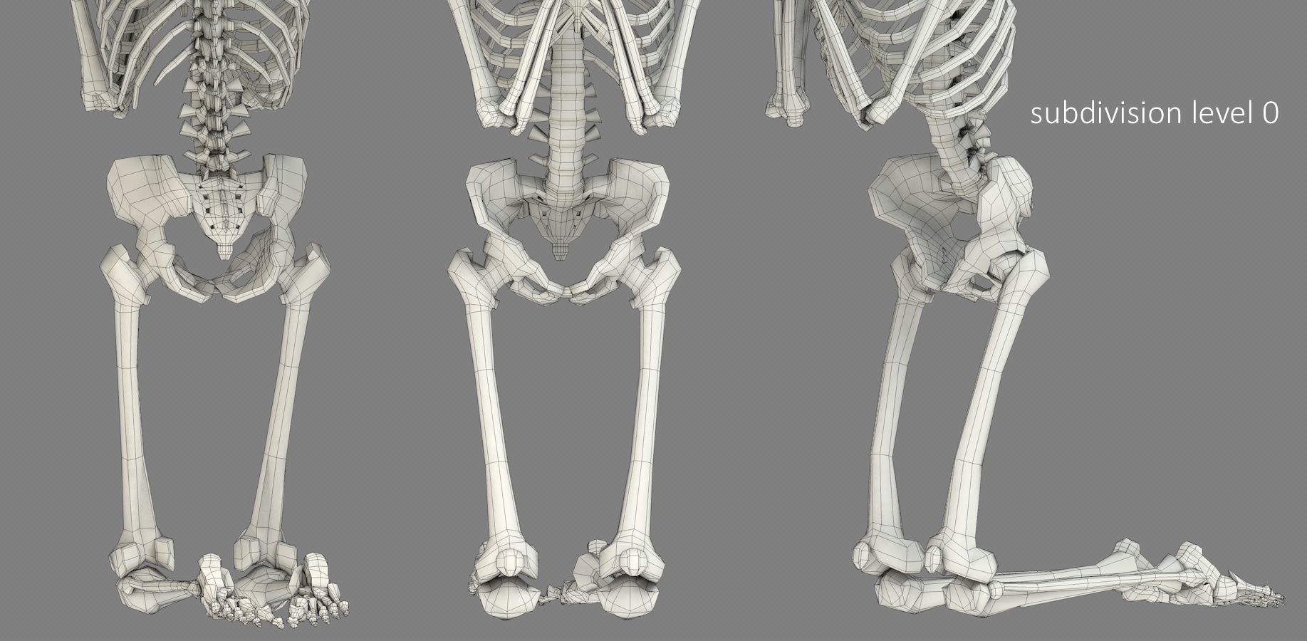 Human skeleton Low-poly 3D model_26