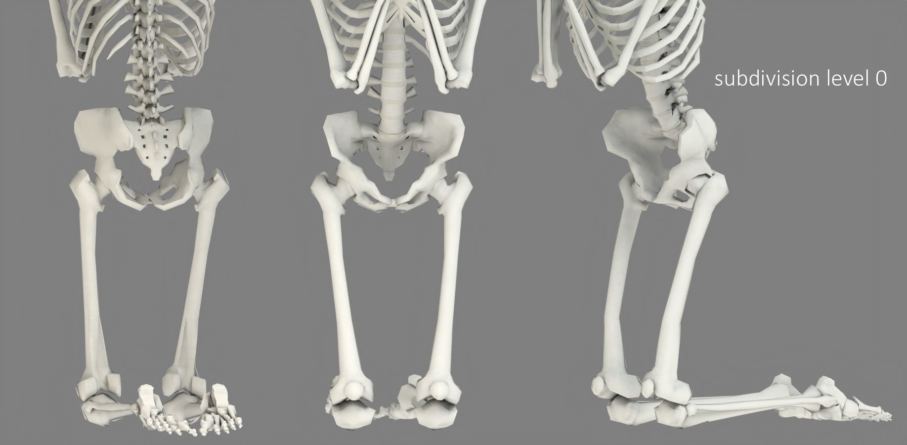 Human skeleton Low-poly 3D model_27