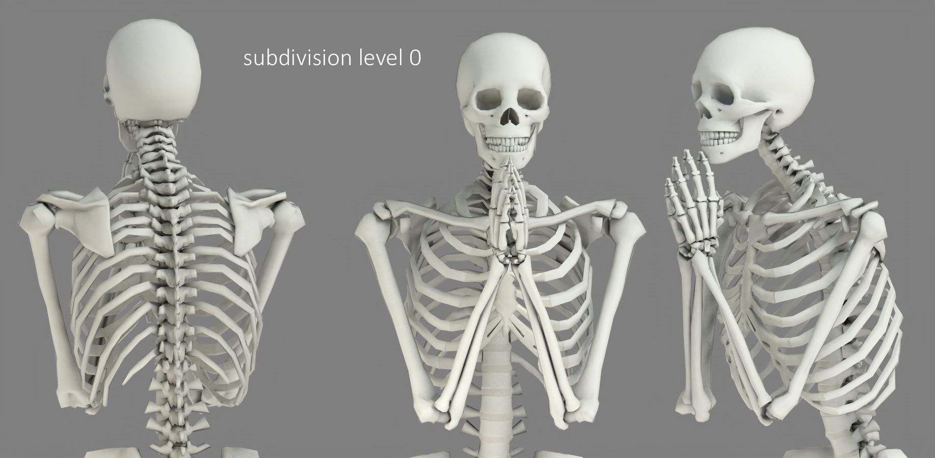Human skeleton Low-poly 3D model_21