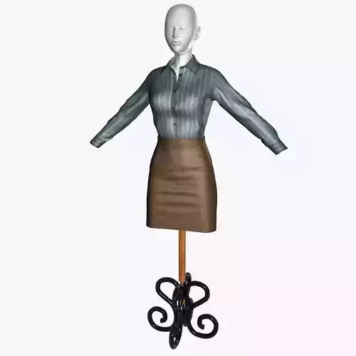 Formal Business Secretary Woman Clothes