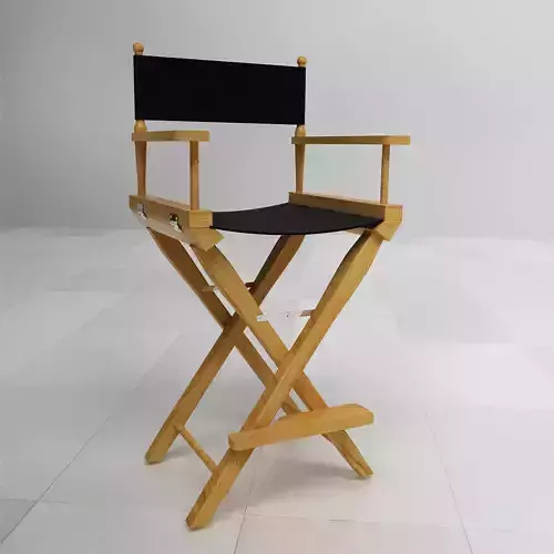 Director Chair