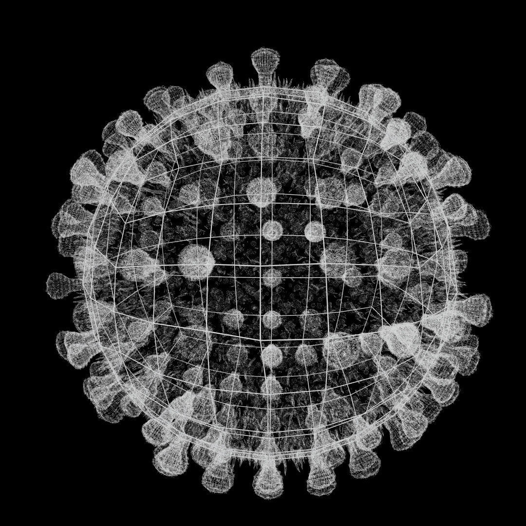 Coronavirus covid19 virus 3D model_15