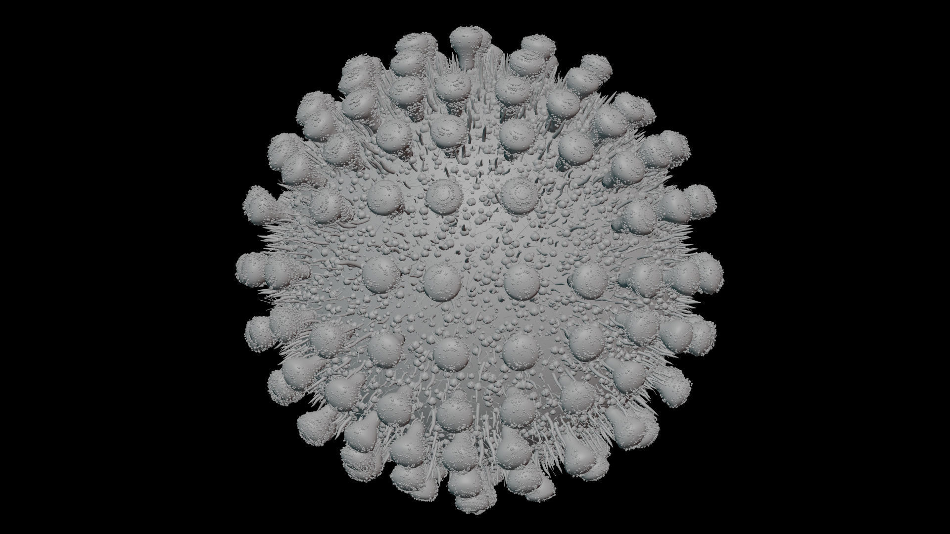 Coronavirus covid19 virus 3D model_6