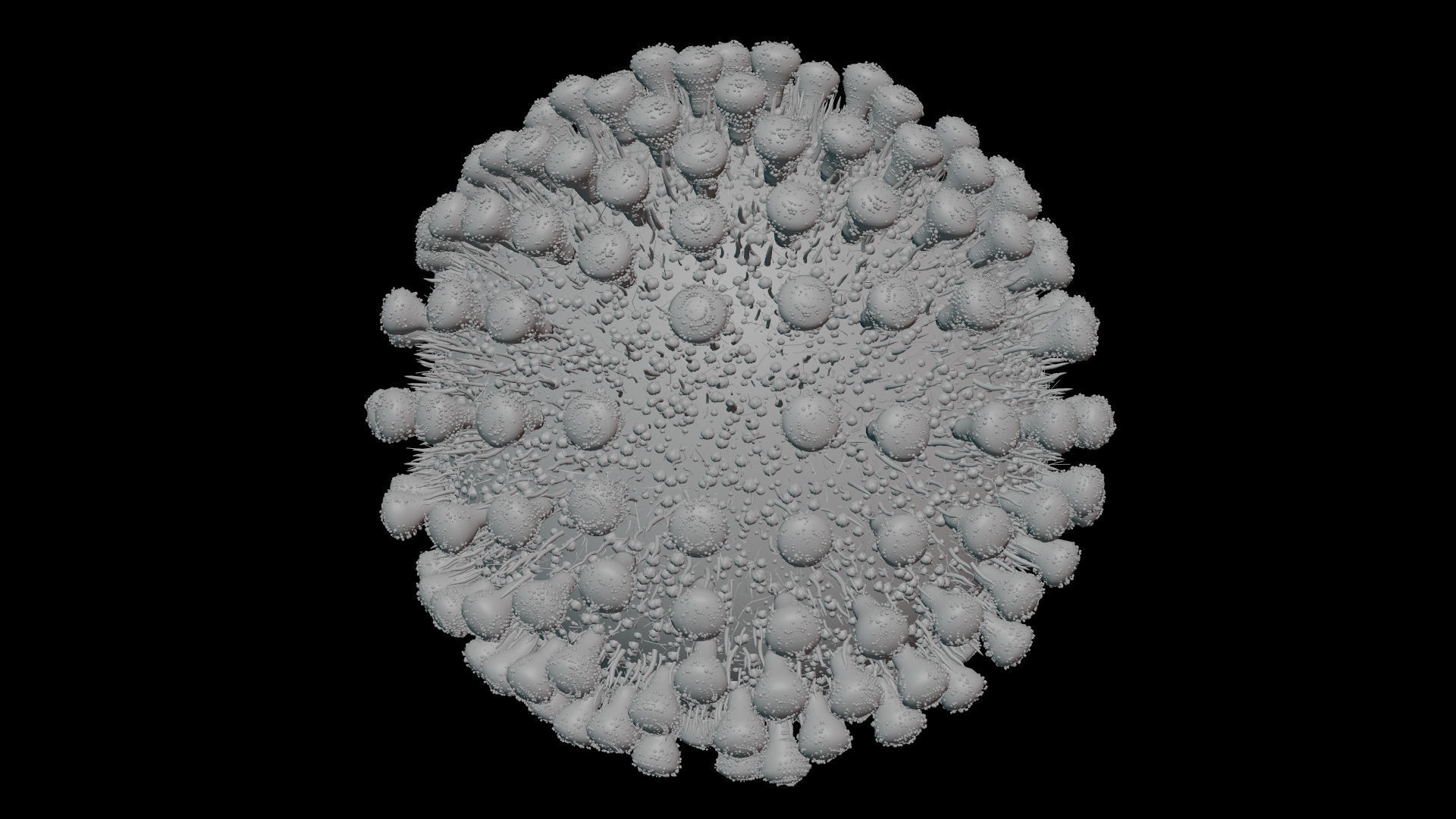 Coronavirus covid19 virus 3D model_9