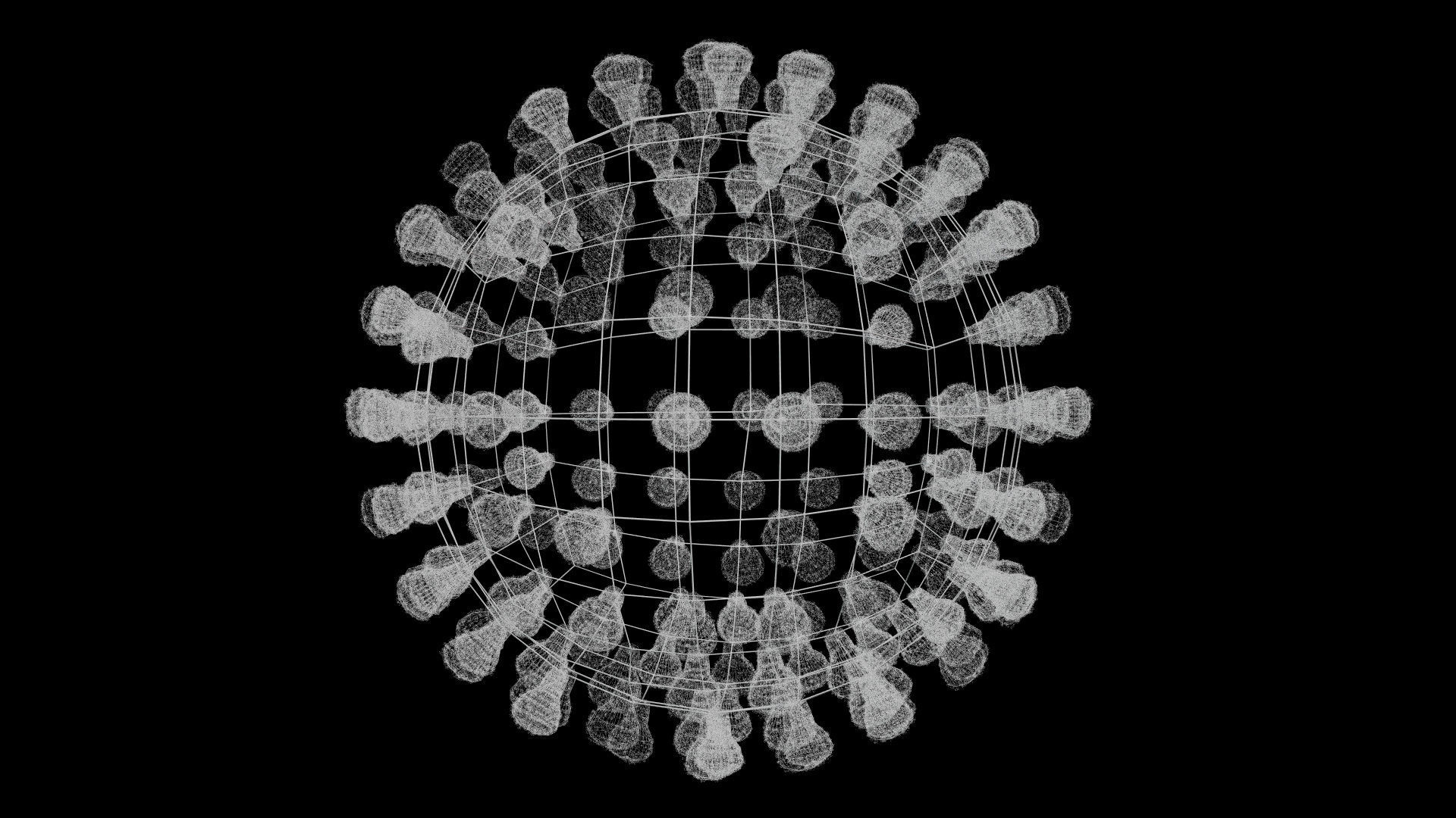Coronavirus covid19 virus 3D model_13