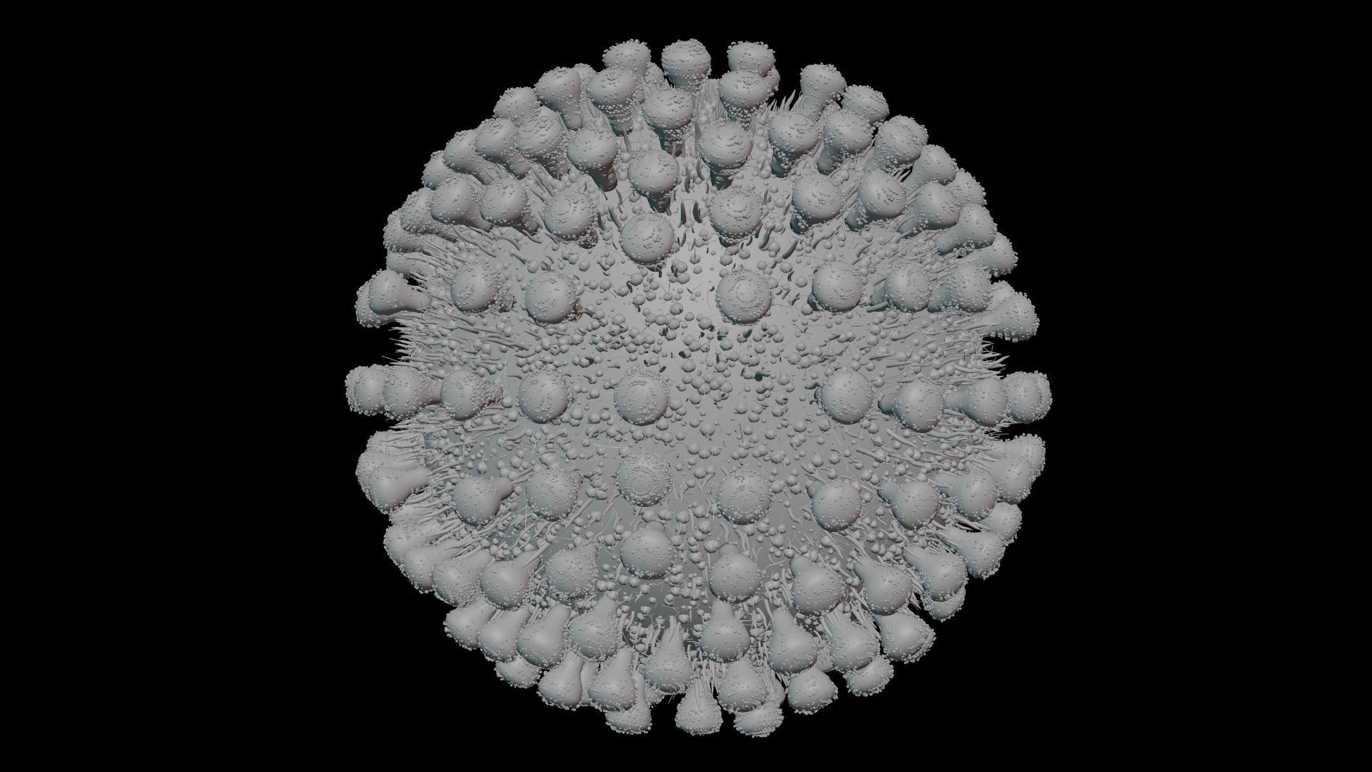 Coronavirus covid19 virus 3D model_10
