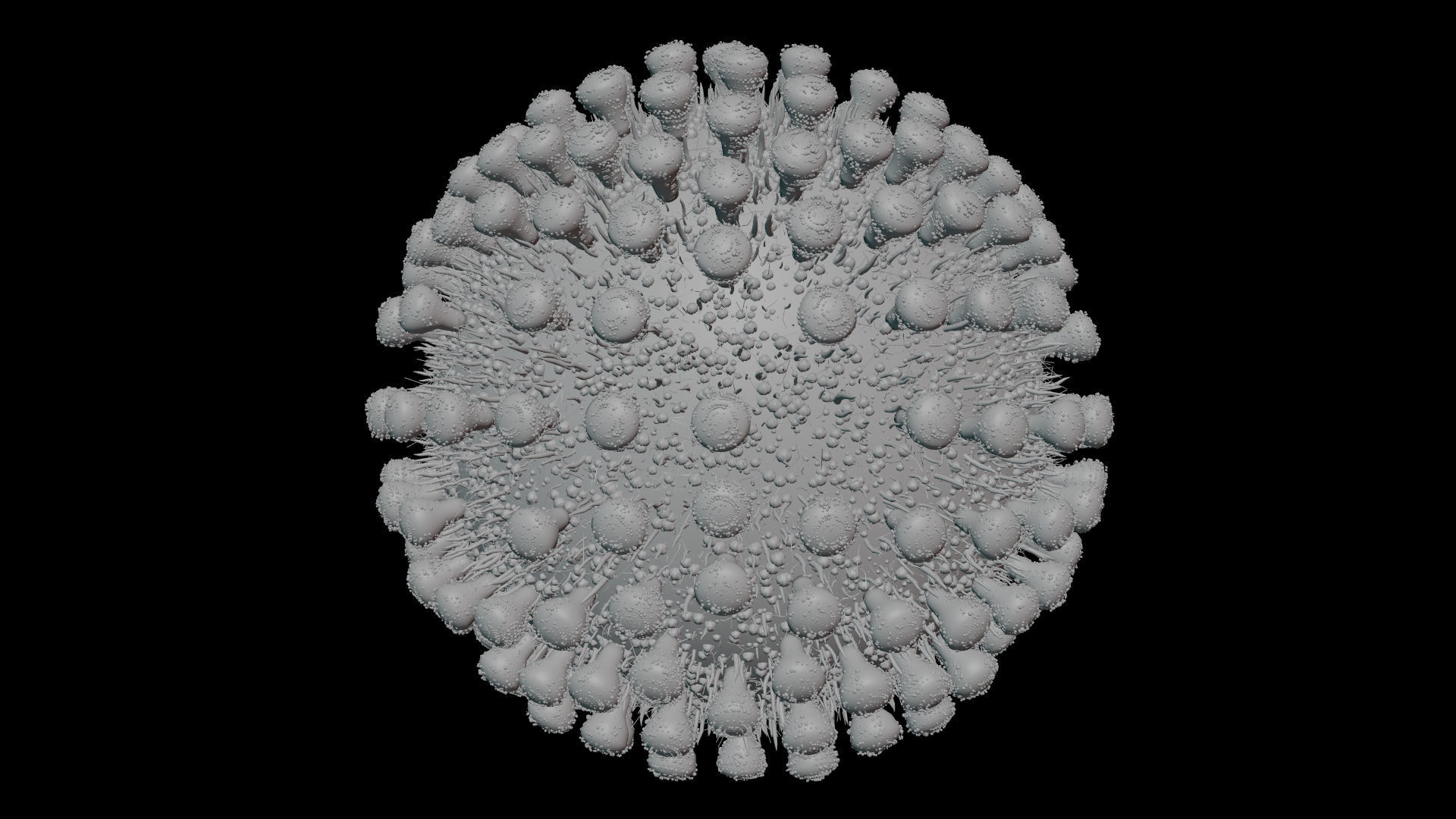 Coronavirus covid19 virus 3D model_11