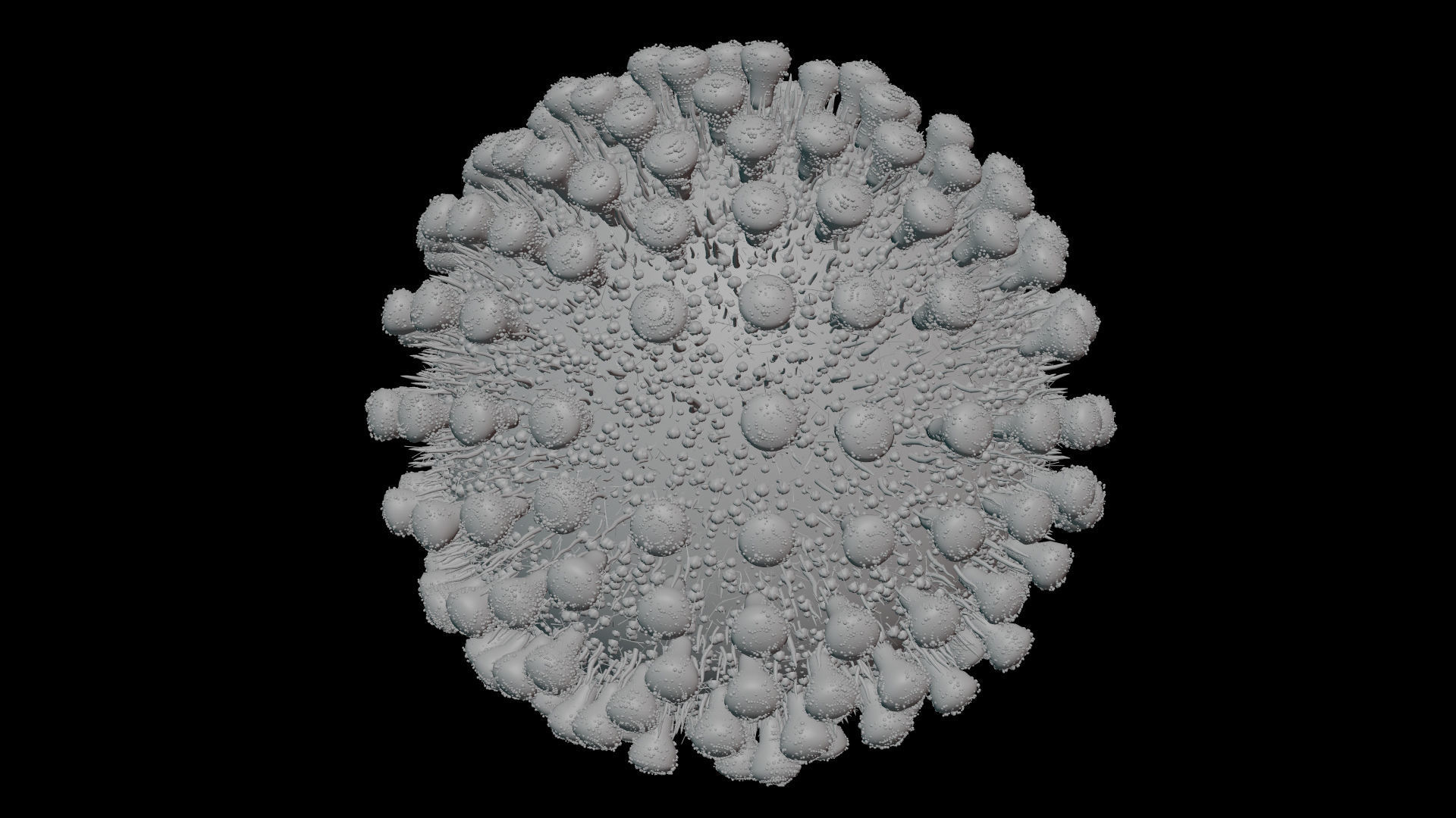 Coronavirus covid19 virus 3D model_8