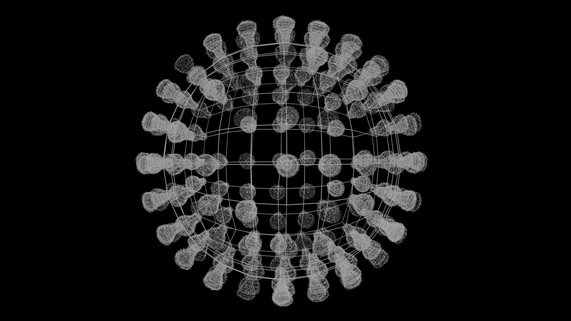 Coronavirus covid19 virus 3D model_14