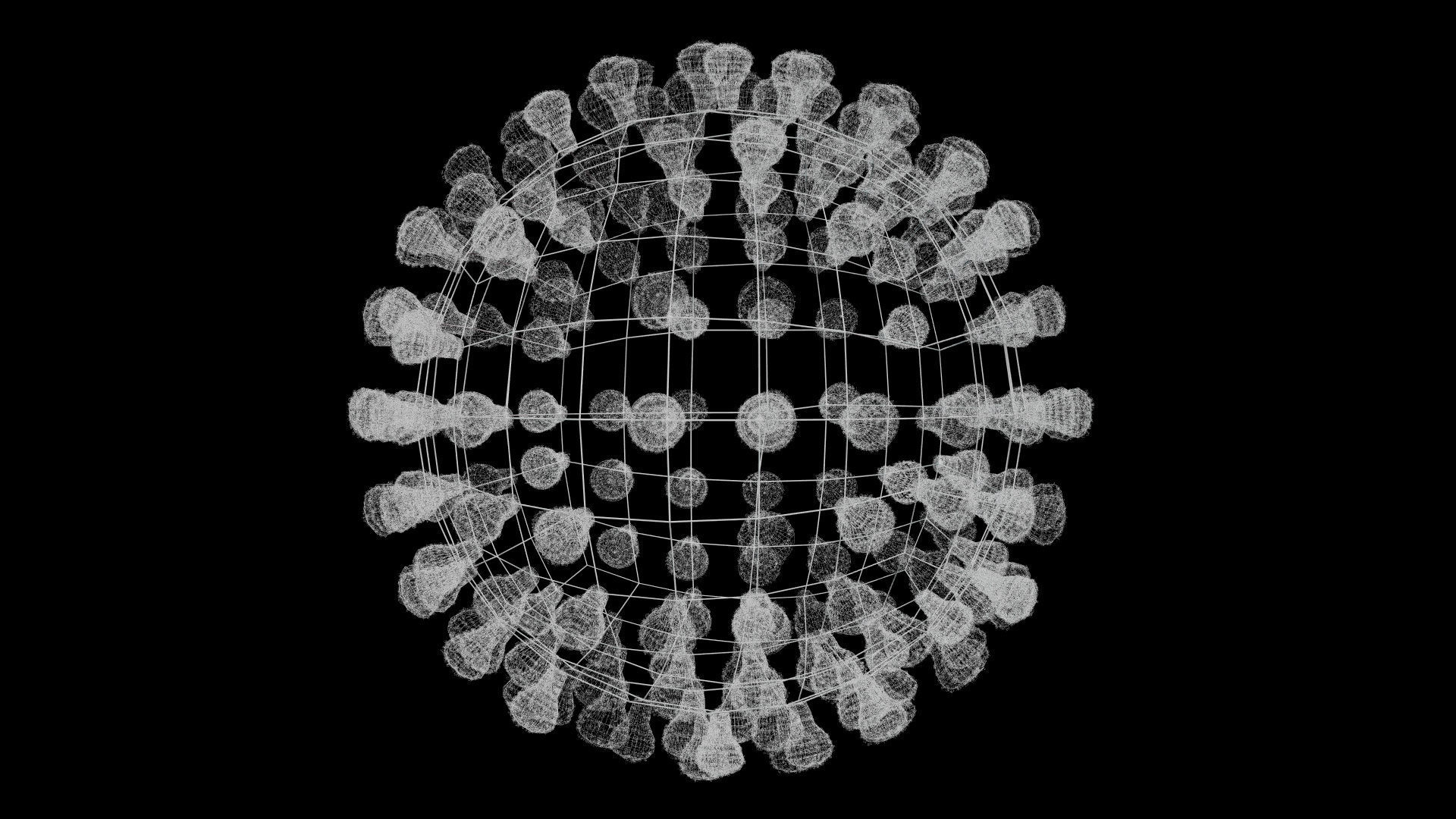 Coronavirus covid19 virus 3D model_12