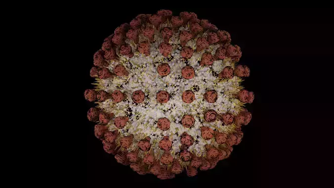 Coronavirus covid19 virus 3D model