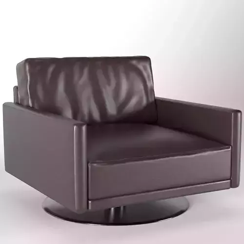 Leather armchair 