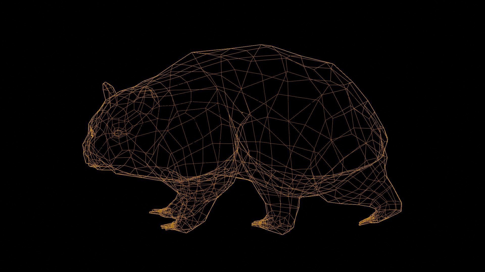 Common Wombat-Low Poly Animated  Low-poly 3D model_3