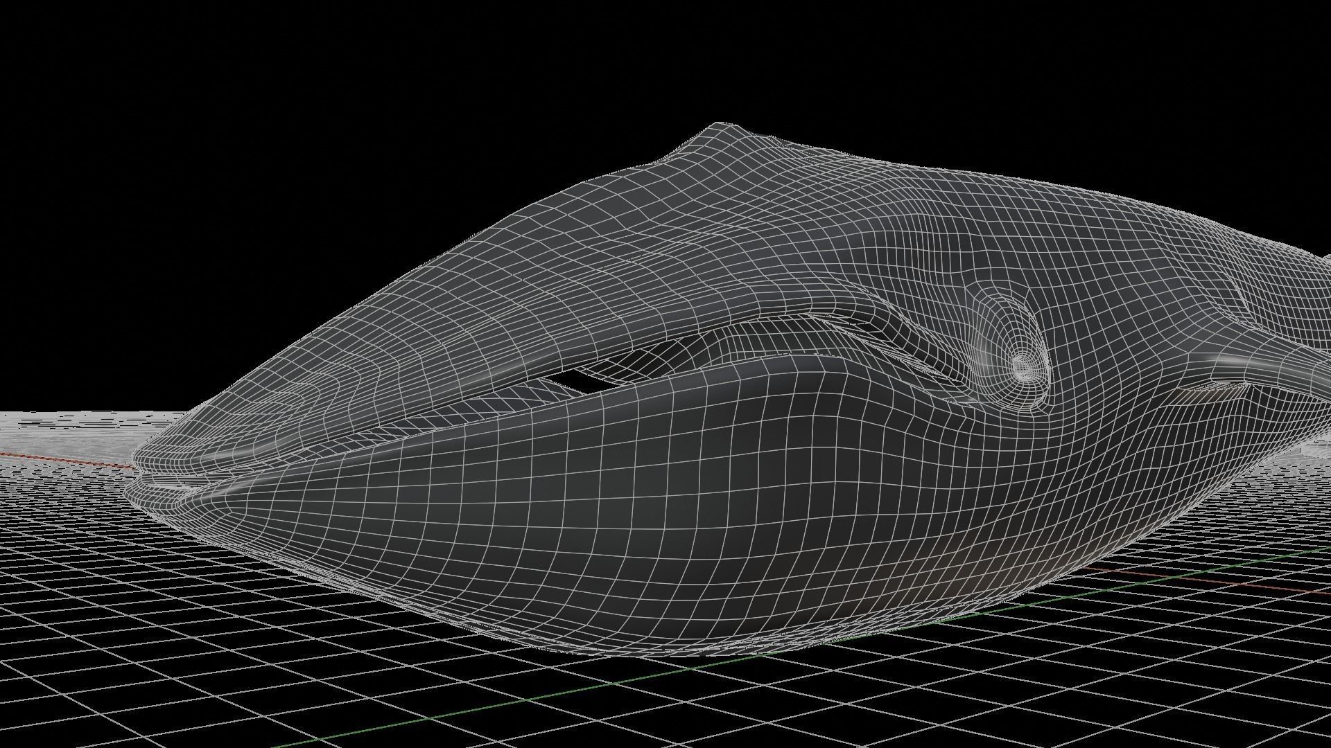 Blue whale 3D model_7