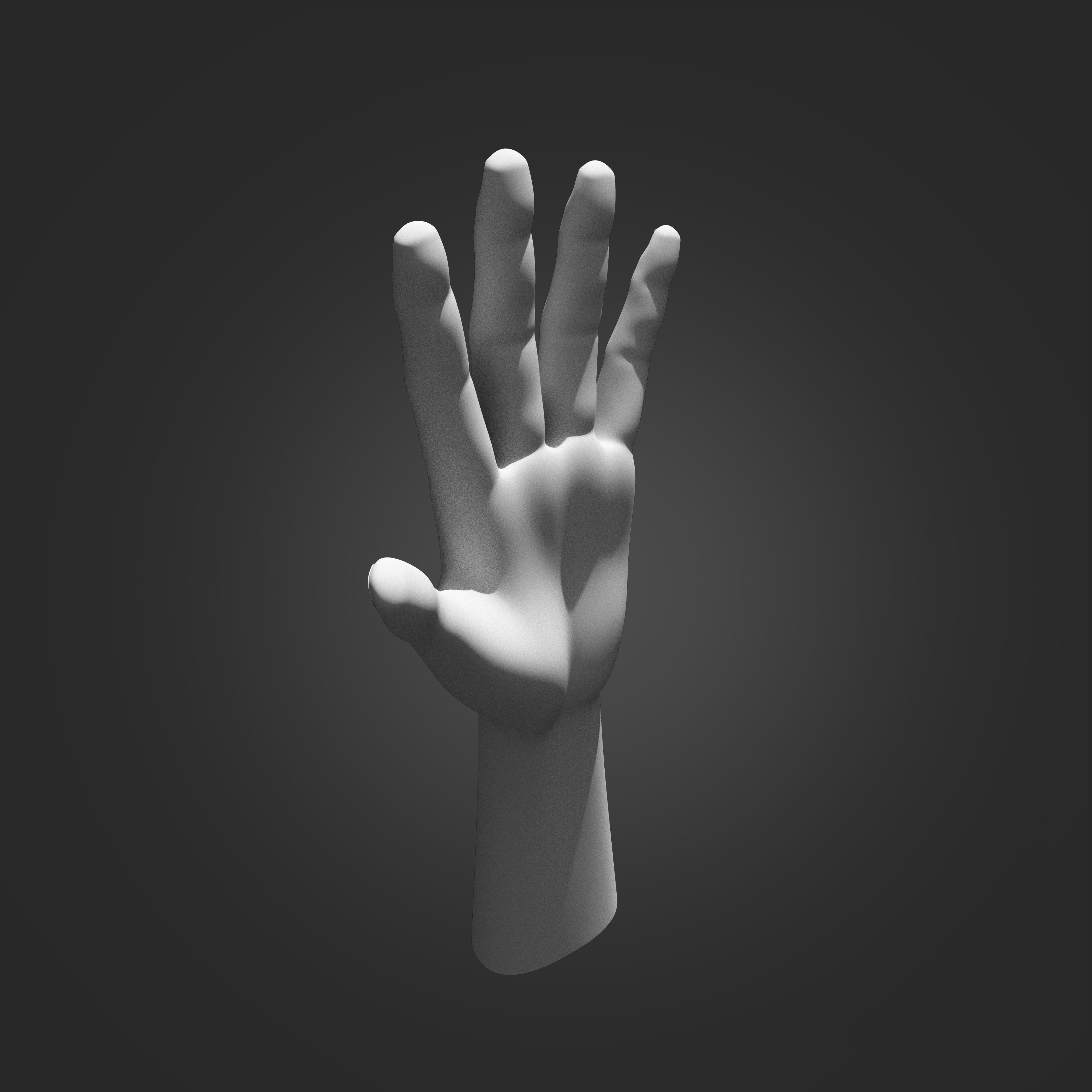 Hand Model 3D print model_3
