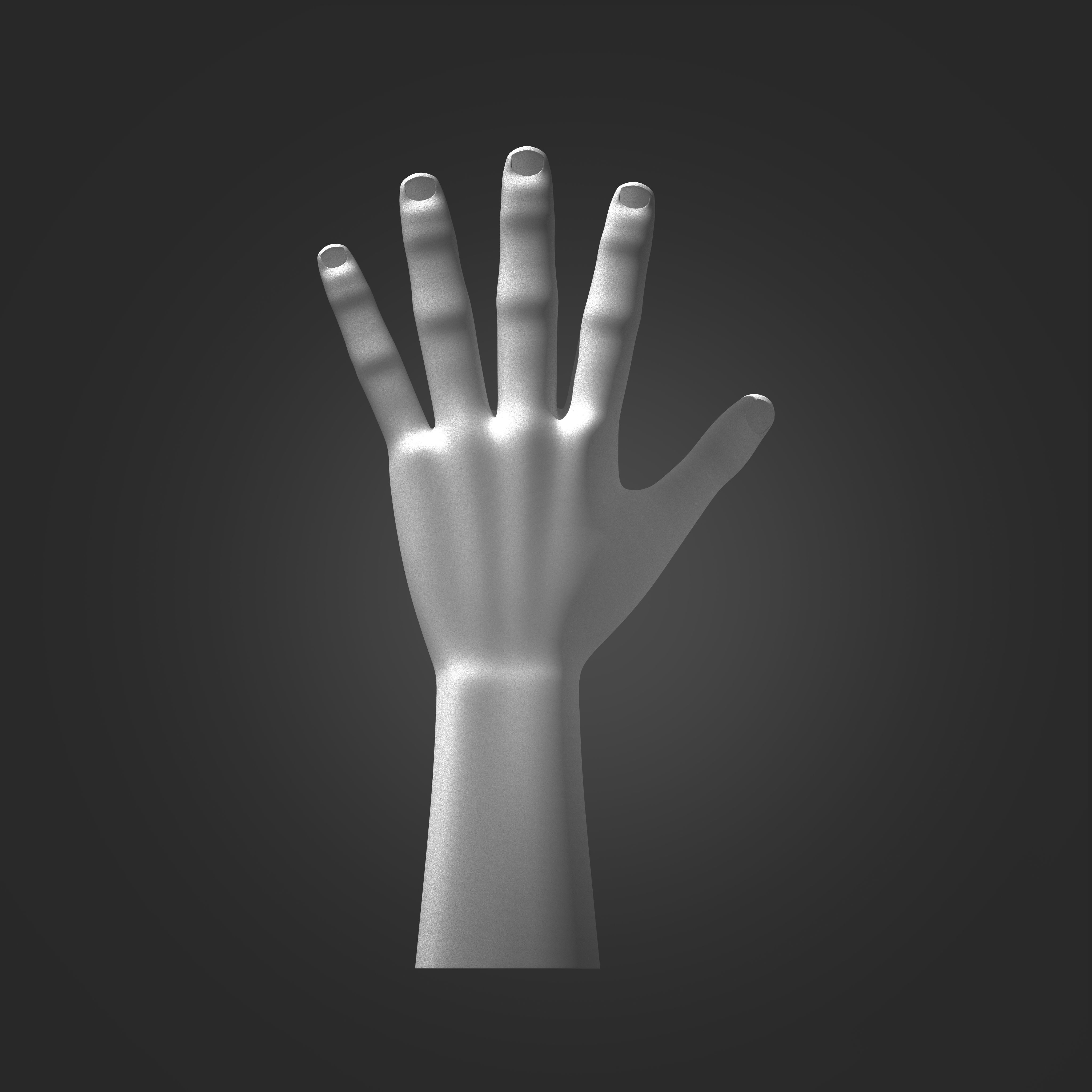 Hand Model 3D print model_1