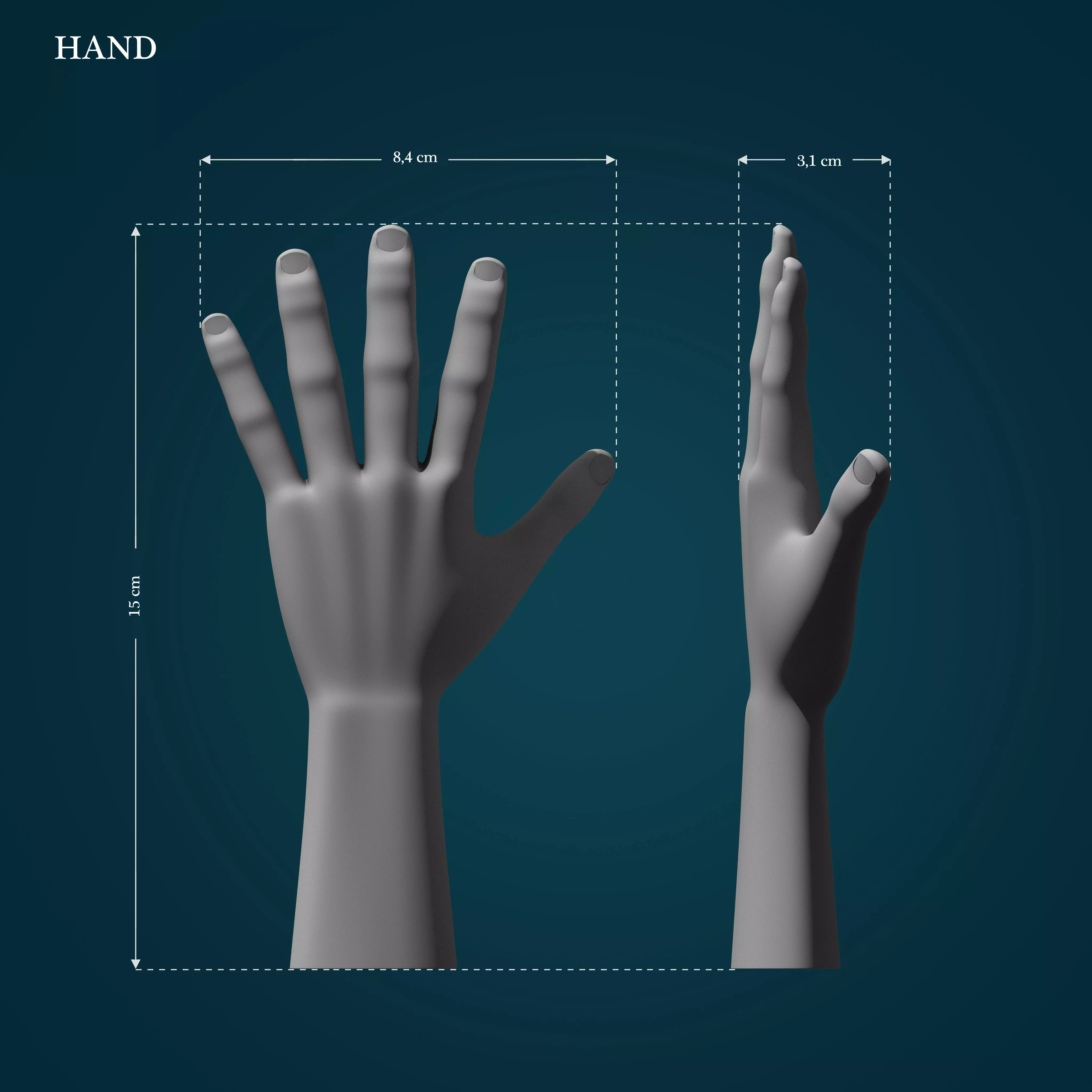 Hand Model 3D print model_0