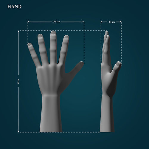 Hand Model 3D print model