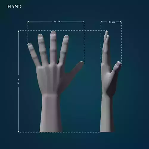 Hand Model 3D print model