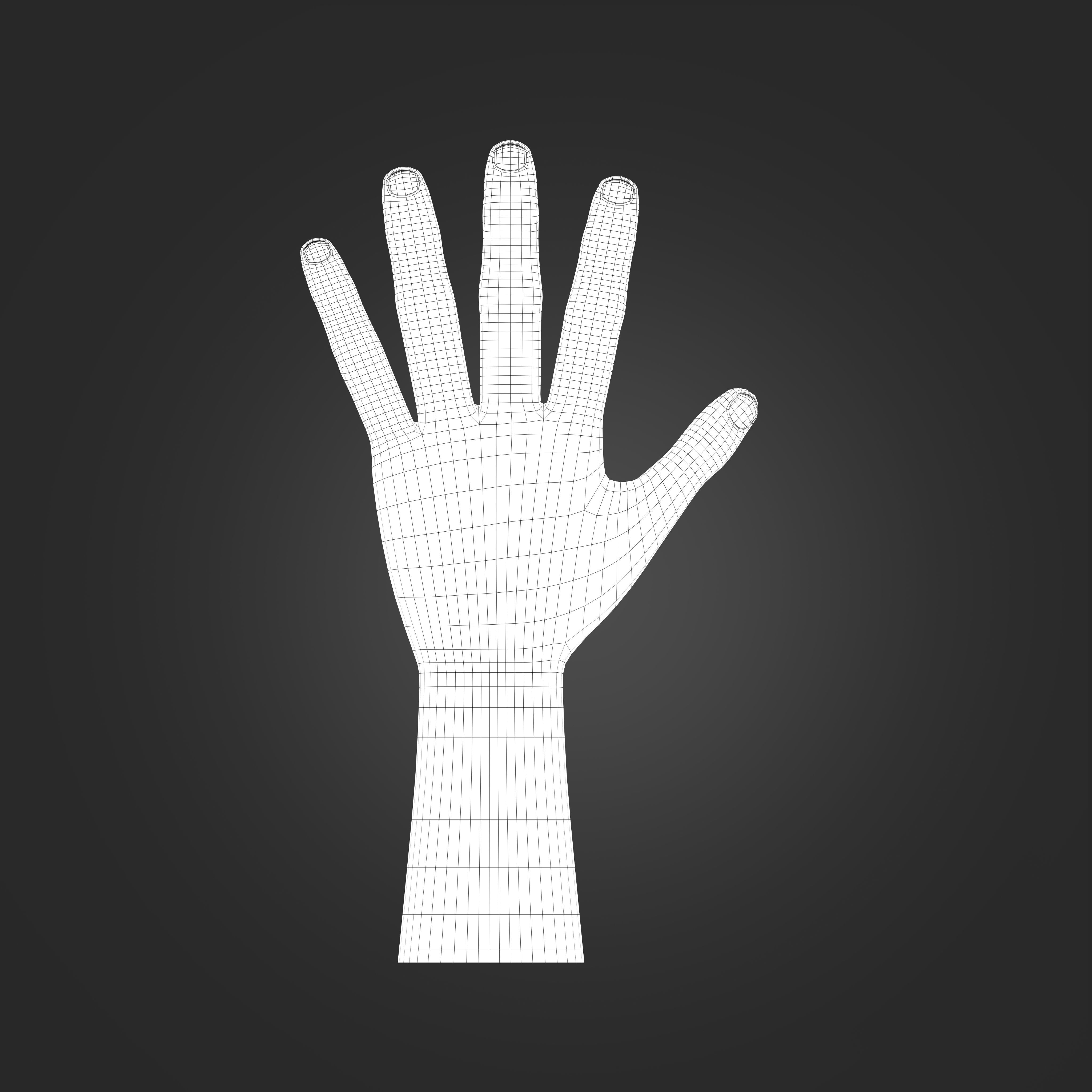 Hand Model 3D print model_5
