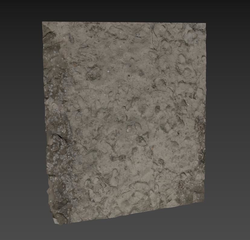 Ultra realistic Sand Scan 3D model_7