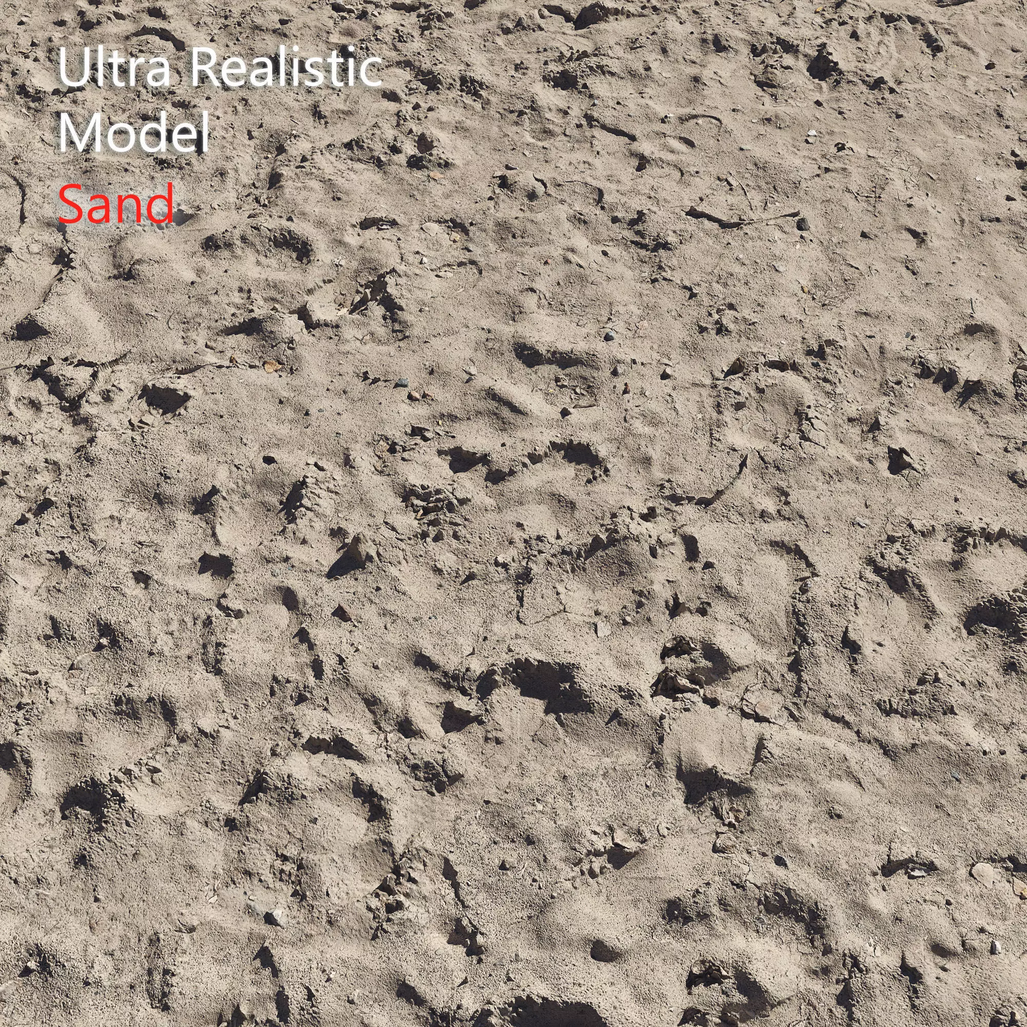Ultra realistic Sand Scan 3D model_0