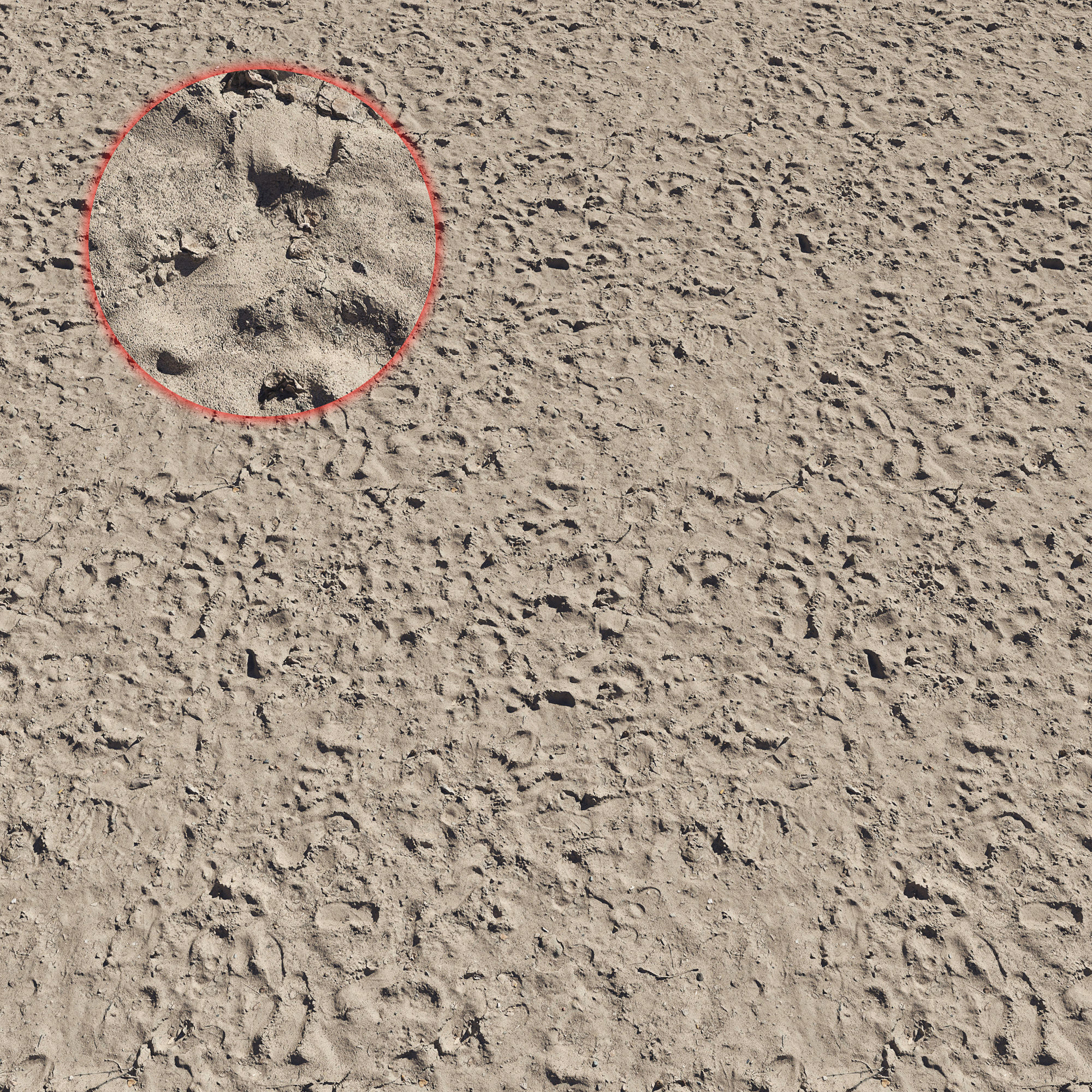 Ultra realistic Sand Scan 3D model_1