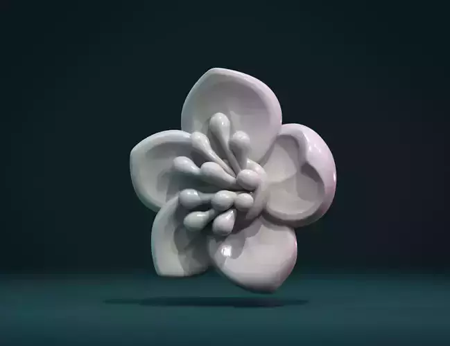 Apple flower 3D print model