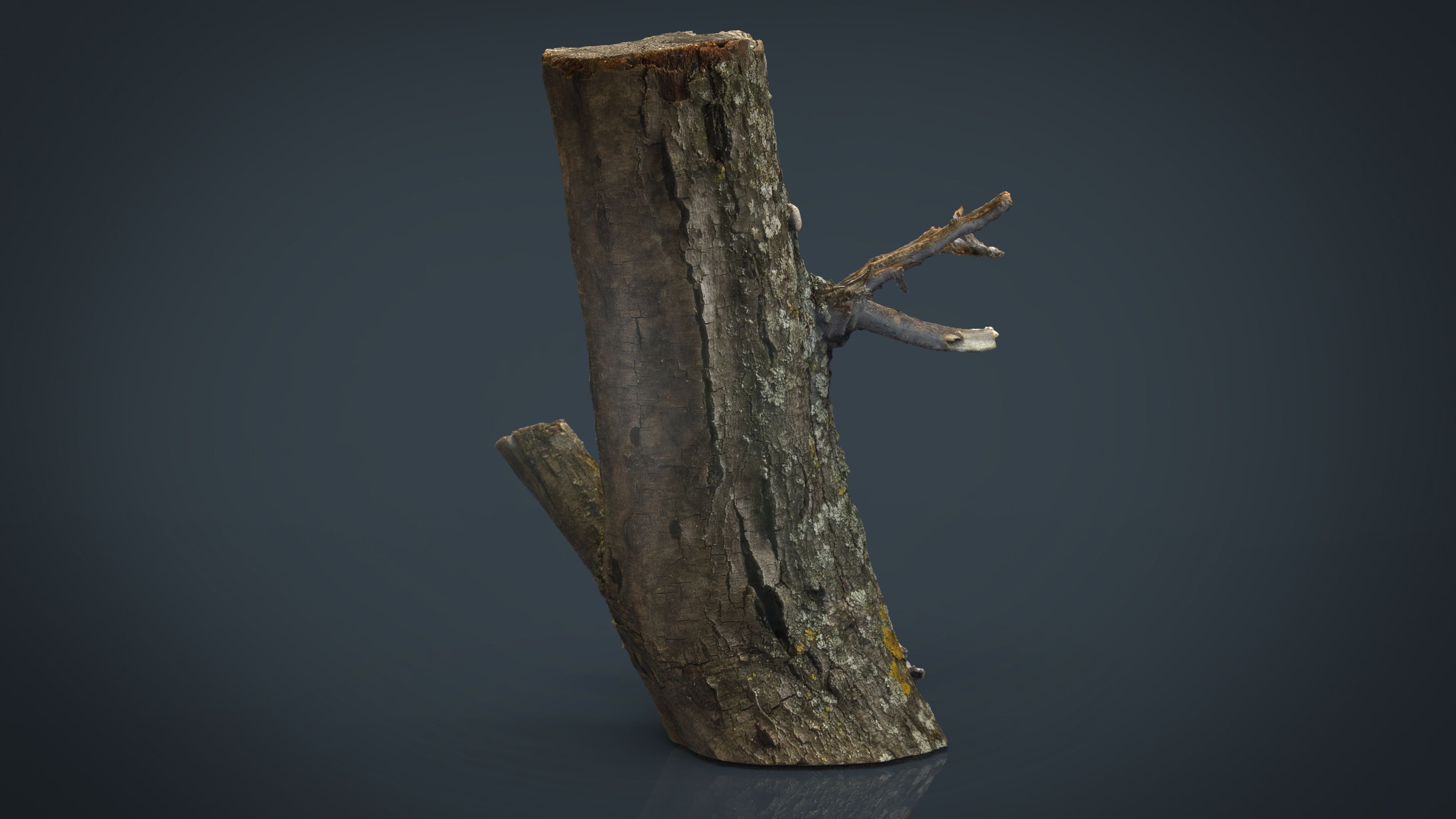 Wood Log 3 Low-poly 3D model_3
