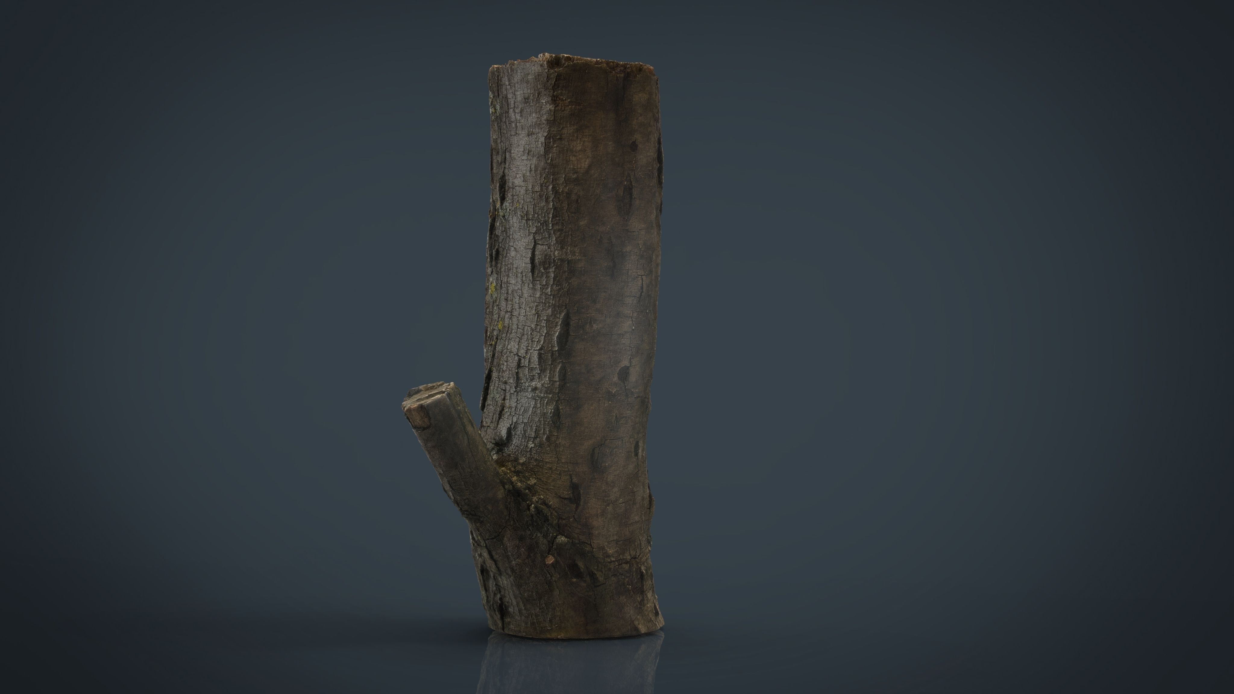 Wood Log 3 Low-poly 3D model_2